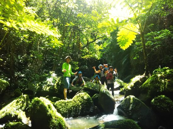 石垣島ジャングルトレッキング　選べるシャワートレッキング　亜熱帯の大自然で癒される半日アドベンチャー＜午前または午後／無料送迎／石垣島＞