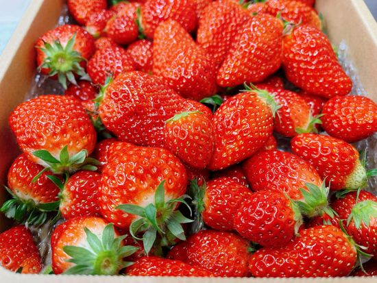 591445469_882460274152804_6774958893692321733_n