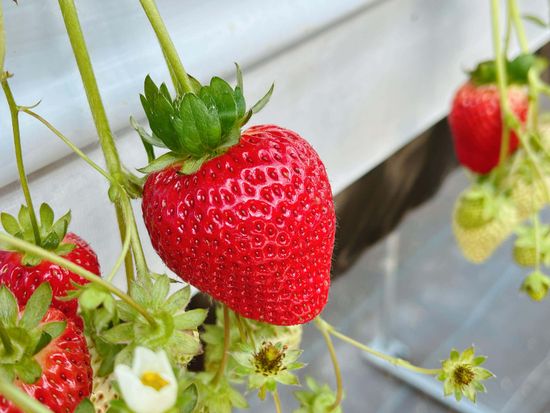 591174314_2384207088682994_8098922544253073304_n