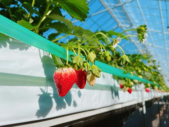 591218220_1820207098688151_3450787626275154132_n