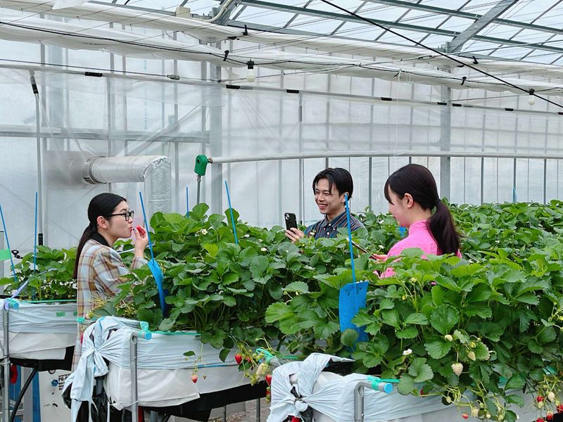 582443592_1183723826468055_5283643538194213223_n