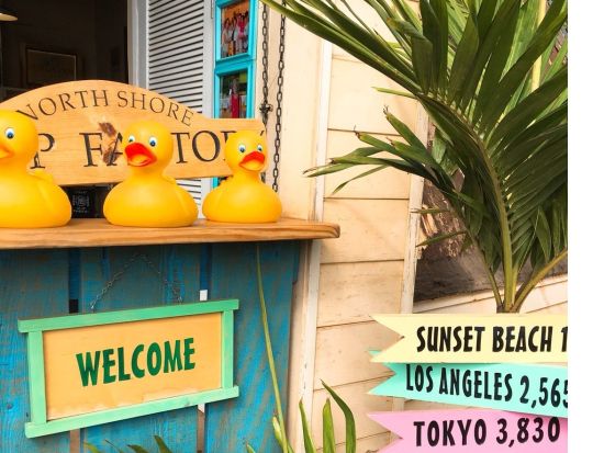 カイルア+ノースショア（ハレイワ）観光　土曜日限定！KCCファーマーズマーケット＆がっつりハワイアングルメ