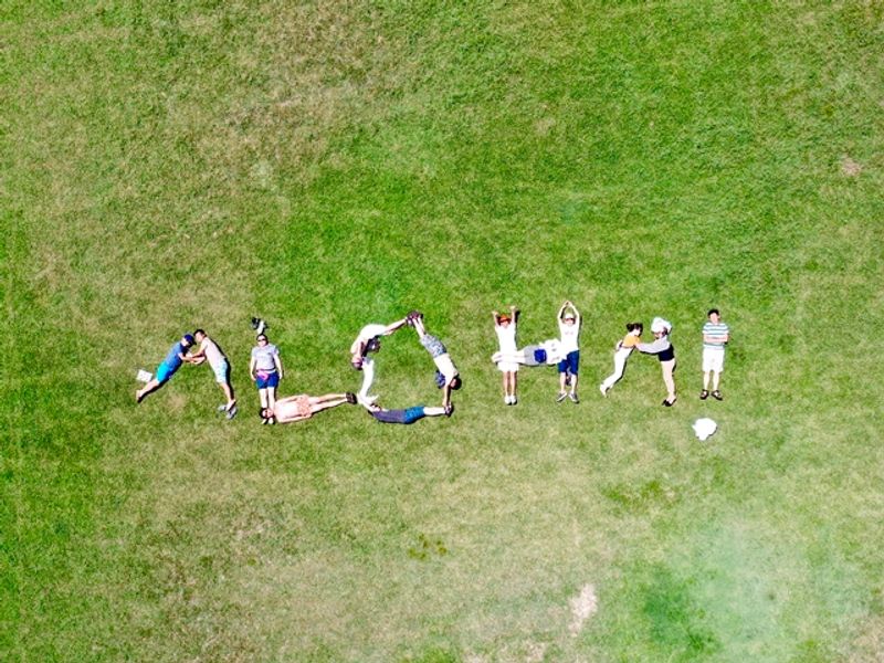 3B242BFF8DC3E63F8255EA66CD2DB932