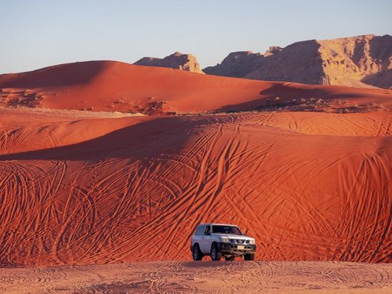 0be4abdd-aa95-4943-8a5a-1af0e0408b8d_lg