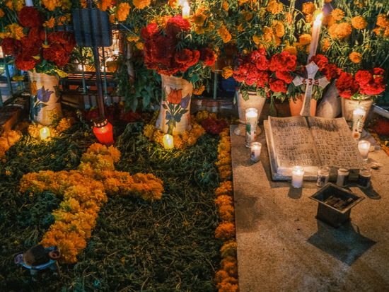 AdobeStock_684761869