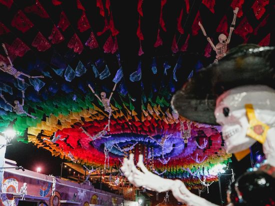 【10月31日限定】メキシコの死者の日ナイトツアー　オアハカ市内＆郊外3つの墓地を巡る神秘の体験＜夜／英語ガイド／オアハカ発＞