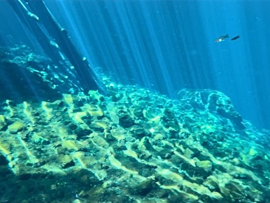 グランセノーテ