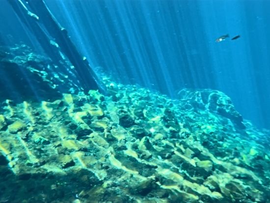 トゥルム満喫ツアー　トゥルム遺跡＋グランセノーテ＋トゥルムの街歩きの欲張りコース＜自由行動＞