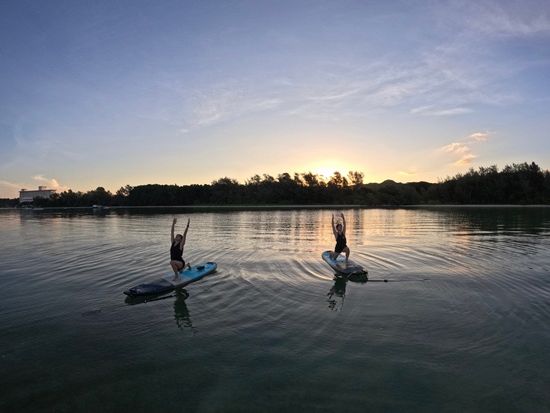 繧ｵ繝ｳ繝ｩ繧､繧ｹ繧儡UP繝ｨ繧ｫ繧・GPAE5421