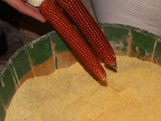 世界遺産のワイン景観 ピエモンテ半日ツアー　水車小屋＆郷土料理＆オーガニックワイン試飲付き ＜軽食付き／英語ガイド＞