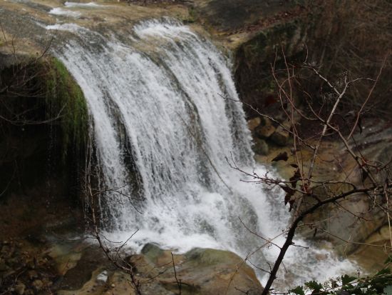 世界遺産のワイン景観 ピエモンテ半日ツアー　水車小屋＆郷土料理＆オーガニックワイン試飲付き ＜軽食付き／英語ガイド＞