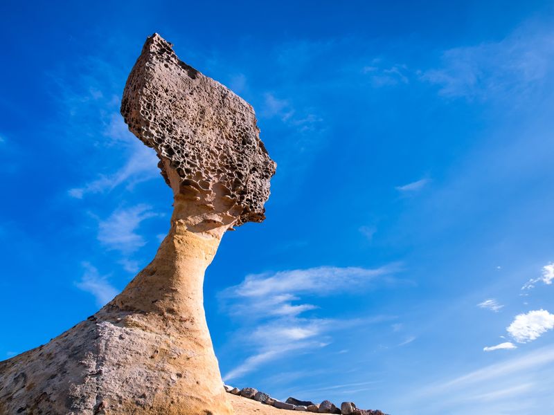 shutterstock_697745167