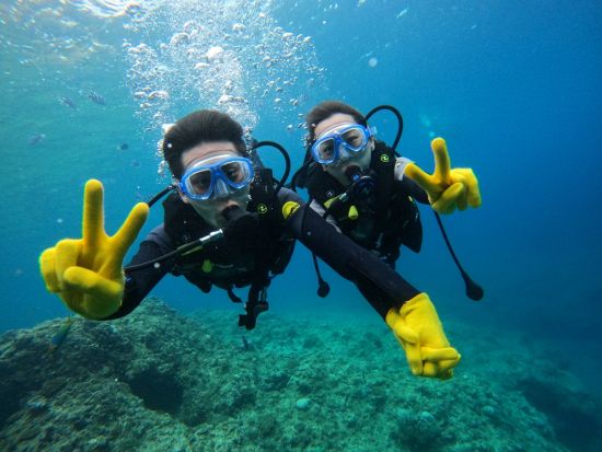 【貸切】美ら海ダイビング  専属ガイドの案内で初めての方も安心 ＜餌あげ無料／浜川漁港発＞