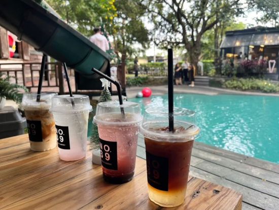 チェンマイ女子旅ツアー　バーンガーンワット＋No.39カフェ＋ワットウモーン＋北タイ料理の名店＜日本語ガイド／午後半日＞