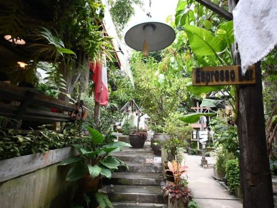 チェンマイ女子旅ツアー　バーンガーンワット＋No.39カフェ＋ワットウモーン＋北タイ料理の名店＜日本語ガイド／午後半日＞