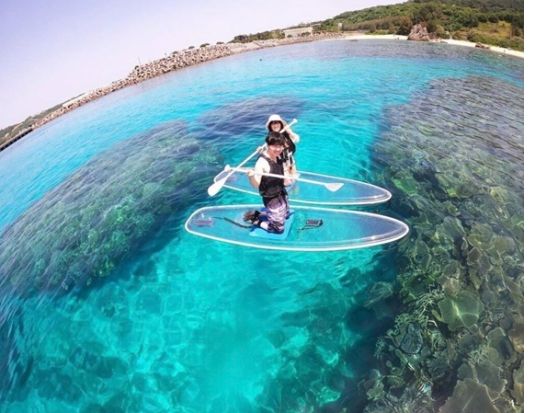 クリアSUP 透明ボードで楽しむ沖縄の海！初心者も安心のサポート付き 海の中をのぞきながら水上散歩体験＜1時間／写真サービス／本部町＞