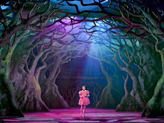 舞台『となりのトトロ』 チケット予約 ＊申込と同時に即予約確定