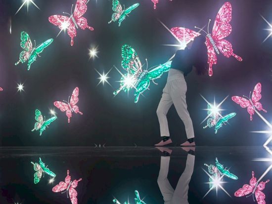 なんばデジタルアートミュージアム「MIRACLE WORLD」入場パス 