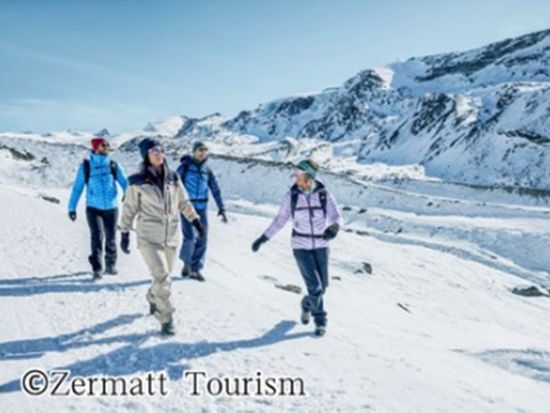 【プライベートツアー】冬のツェルマット地方ハイキングツアー　半日または終日プラン選択可＜12～5月／ガイド貸切／日本語／ツェルマット発＞