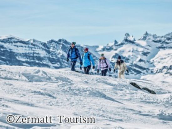 【プライベートツアー】冬のツェルマット地方ハイキングツアー　半日または終日プラン選択可＜12～5月／ガイド貸切／日本語／ツェルマット発＞