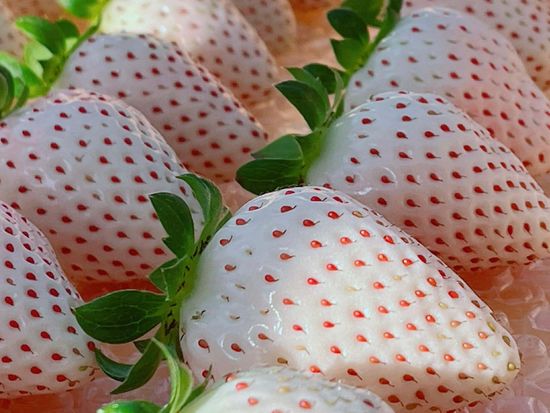 29aa9218ce49dbcfba7560b2e9fbd700