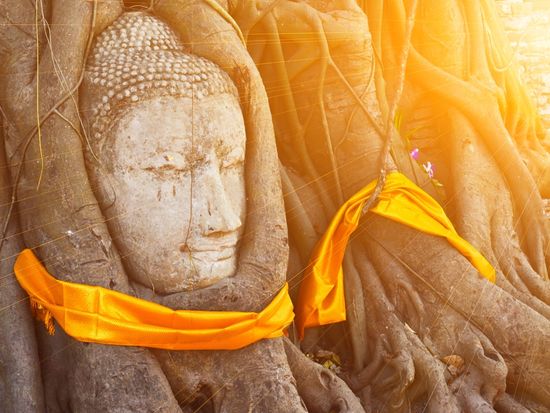 Thailand_Ayutthaya_Wat Mahathat_shutterstock_513335815 (1)