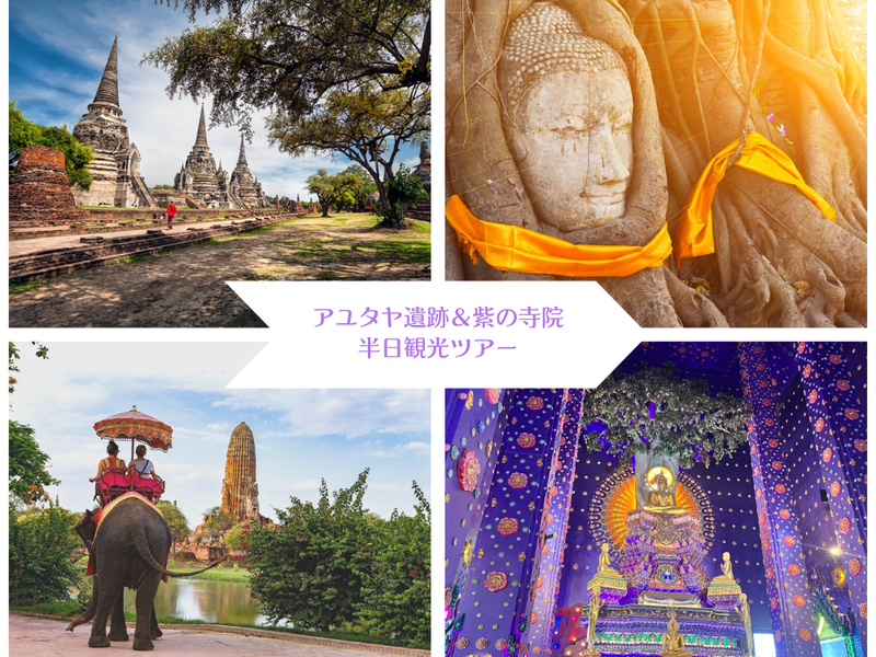 アユタヤ遺跡＆紫の寺院半日ツアー (1)