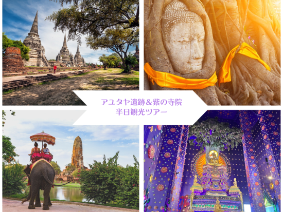アユタヤ遺跡＋紫の寺院半日観光ツアー　3大遺跡巡り＋象乗り体験　貸切プランあり＜選べる午前・午後／日本語ガイド＞