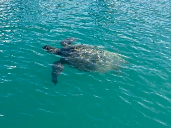 20250422081039_5enN1MYB09O5iyk