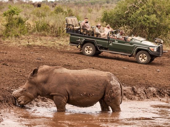 Jumeirah Thanda Safari_Lifestyle_Game Drive_Muddy Rhino 1_Hywell Waters