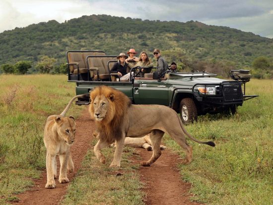 タンドラ・サファリ（Thanda Safari）宿泊パッケージ　南アフリカの高級サファリで大自然を堪能！選べるロッジまたはテント泊＜空港送迎可＞