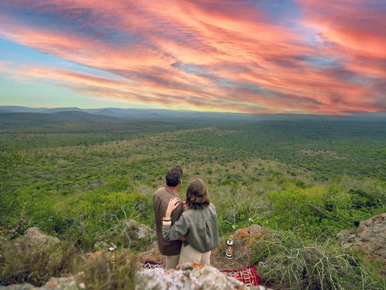 JTS_THANDA_22597_ret