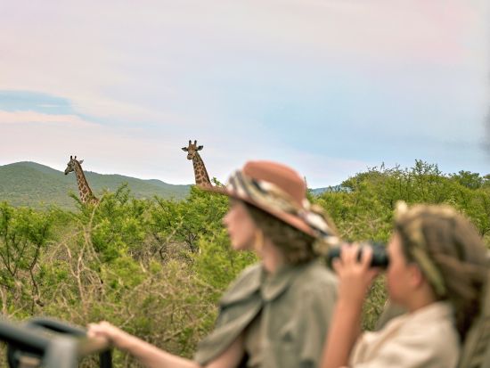 タンドラ・サファリ（Thanda Safari）宿泊パッケージ　南アフリカの高級サファリで大自然を堪能！選べるロッジまたはテント泊＜空港送迎可＞
