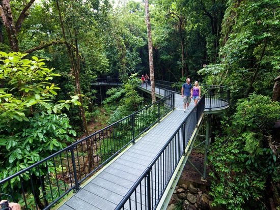 Rainforest walk. Walking platform into Mossman Gorge
