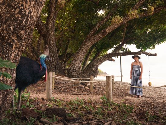 Etty BAy.Cassowary and lady. TTNQ photo.