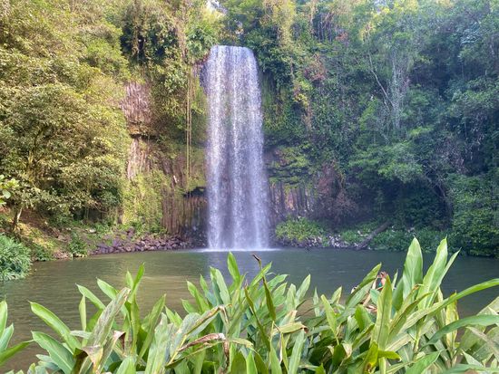 Millaa Millaa. 30.8.23