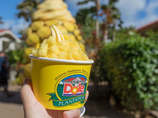 dole-plantation