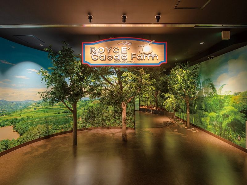 JBYR5_bbe59dd9-6576-4b02-b6df-6e0276fb623b