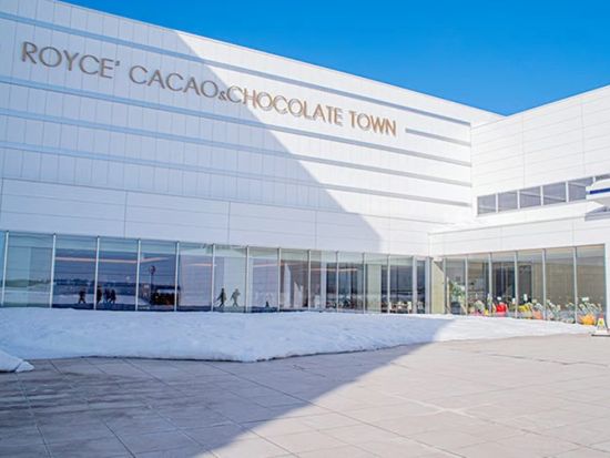 札幌発 冬の日帰りバスツアー　ロイズカカオ＆チョコレートタウン＋札幌もいわ山ロープウェイ＋場外市場での自由昼食＜1〜3月／1名様から催行／札幌駅発着＞