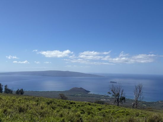 日本語タクシープライベートチャーター(4時間以上)
