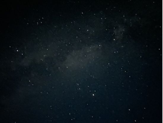 【期間限定】ホタルツアー 光の舞に包まれる感動体験！西表島で楽しむ幻想的なホタル観賞ツアー＜約2時間／西表島発＞