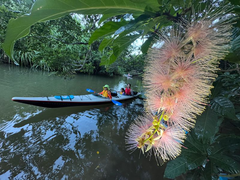 20250704_211521913_iOS