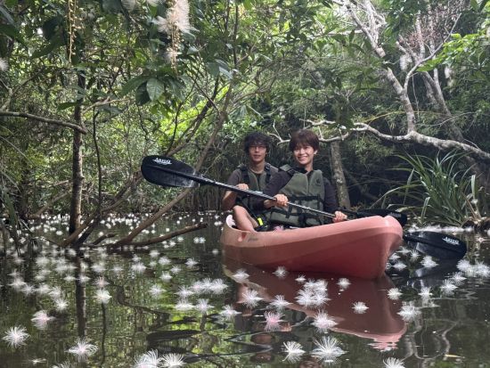 早朝サガリバナツアー 幻想的な絶景を堪能するマングローブカヌーツアー ！ ＜約3時間半／6月14日～7月31日／送迎可／写真プレゼント＞