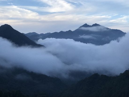屋久島大学おすすめガイドと行くトレッキングツアー・原生林ヤクスギランド＆2位の巨木・紀元杉を歩く旅＜送迎／昼食付／1日＞by屋久島アカデミー