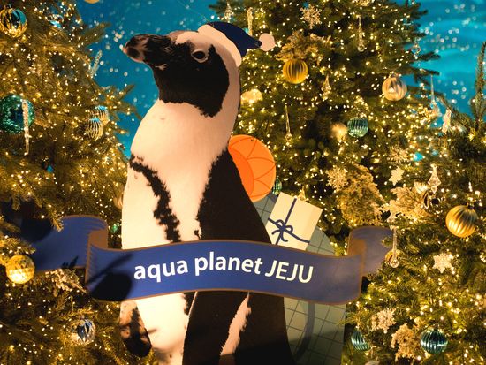 CAF05091 (1)edit 복사