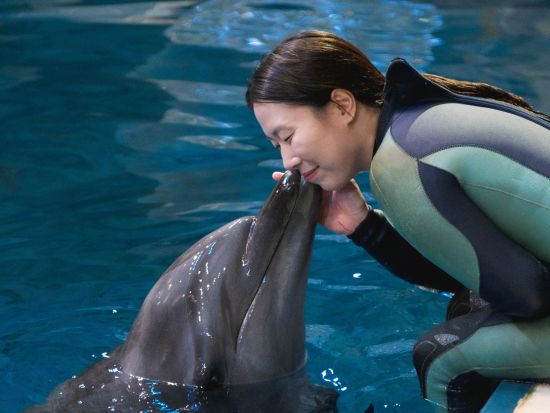 済州島　アクアプラネット済州　割引入場チケット　事前予約サービス