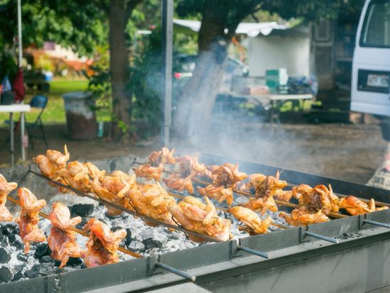ハワイの大自然を満喫！ノースショア＆タンタラスの夜景【ハレイワ・ウミガメ・ガーリックシュリンプ・ドール・タンタラスの丘など】＜日本人ガイド＆少人数制＞