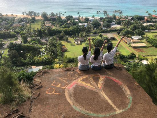 ハワイの大自然を満喫！ノースショア＆タンタラスの夜景【ハレイワ・ウミガメ・ガーリックシュリンプ・ドール・タンタラスの丘など】＜日本人ガイド＆少人数制＞