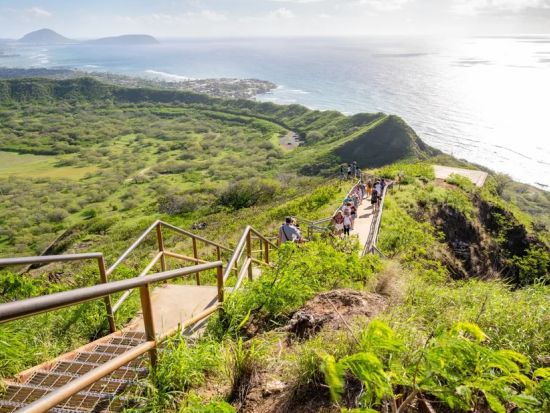 土曜日限定！ダイヤモンドヘッド＆ホノルル市内観光【トレイル・KCC・カカアコウォールアート・この木なんの木・タンタラスなど】＜日本人ガイド＆少人数制＞ 