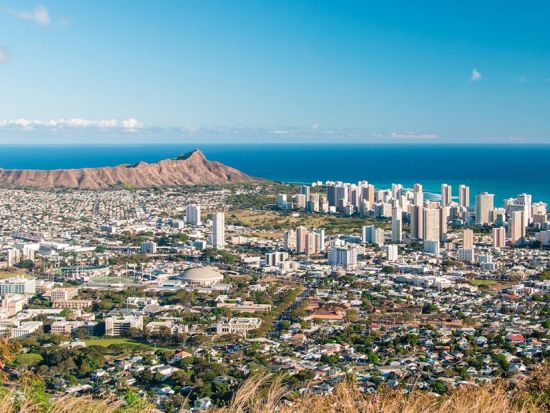 土曜日限定！ダイヤモンドヘッド＆ホノルル市内観光【トレイル・KCC・カカアコウォールアート・この木なんの木・タンタラスなど】＜日本人ガイド＆少人数制＞ 